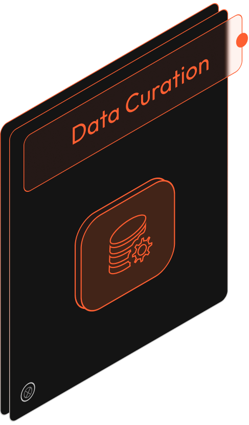 Data Curation